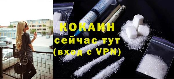 хмурый Нея