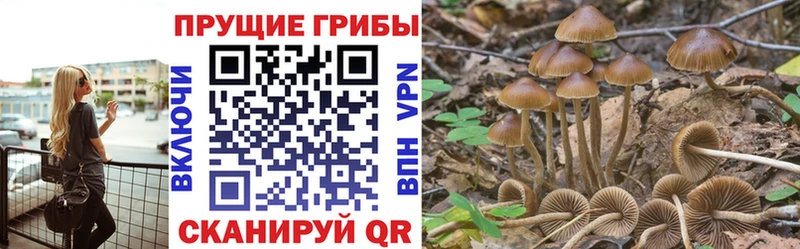 как найти закладки  Алатырь  Галлюциногенные грибы мухоморы 